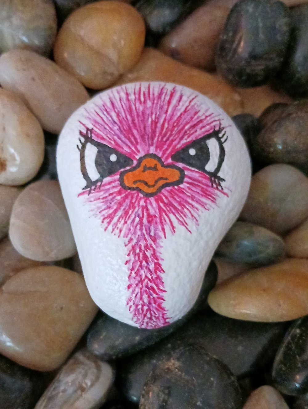 Hand Painted Ostrich Rocks - Picture 4 of 7